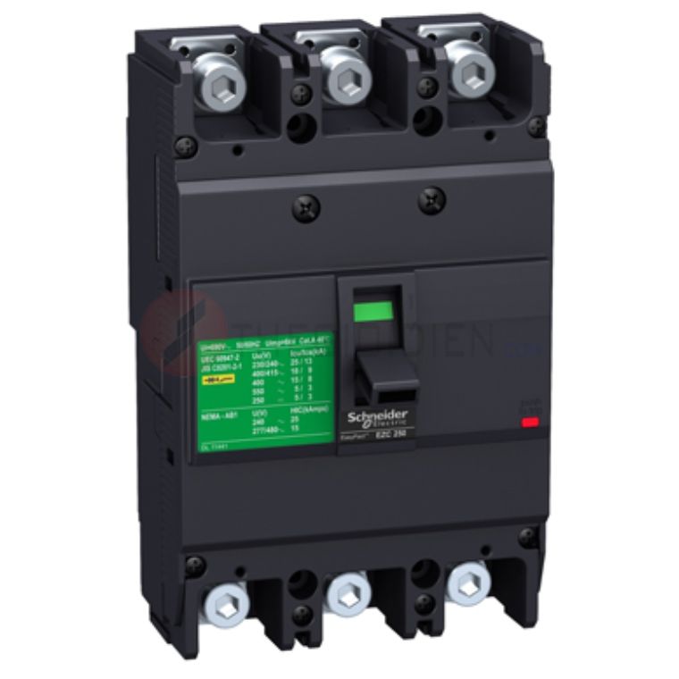 Tập Đoàn Đức Tường